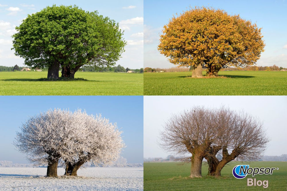 How to Handle Psoriasis Flare-Ups in Different Seasons