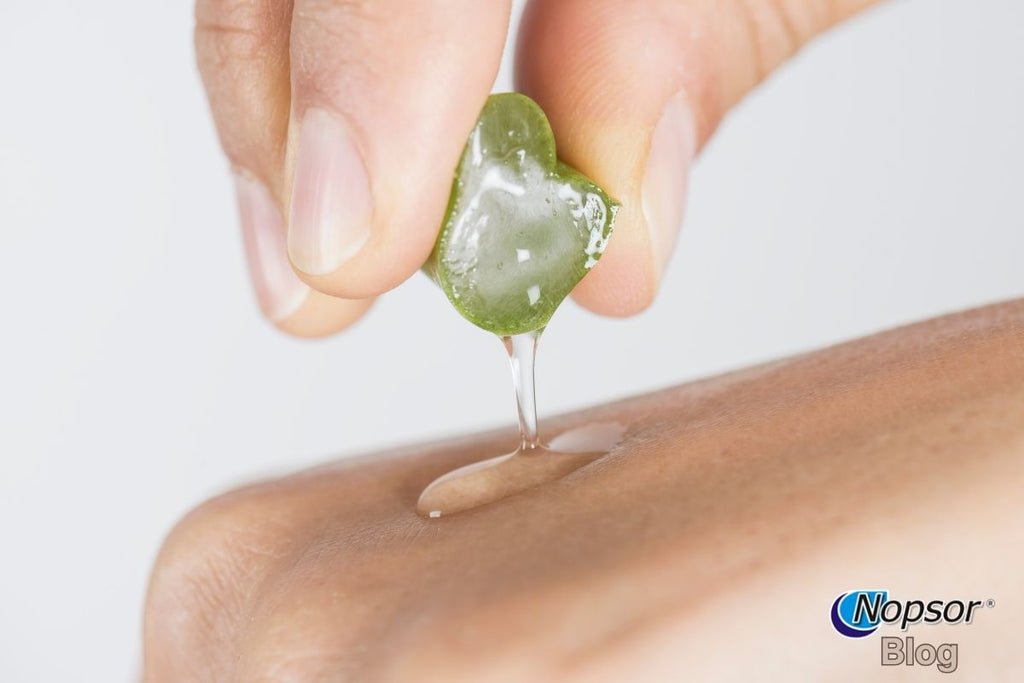 The Benefits of Aloe Vera, Coconut Oil, and Turmeric for Psoriasis