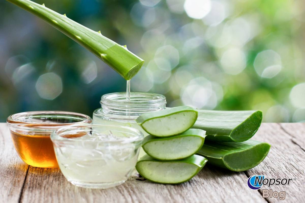 Top Moisturizing Ingredients to Soothe Psoriasis